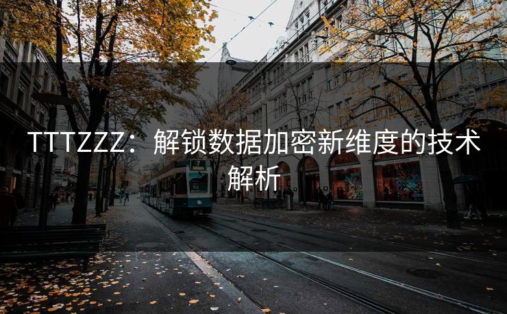 TTTZZZ：解锁数据加密新维度的技术解析