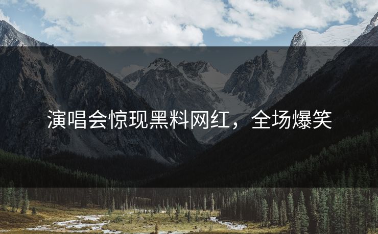 演唱会惊现黑料网红，全场爆笑