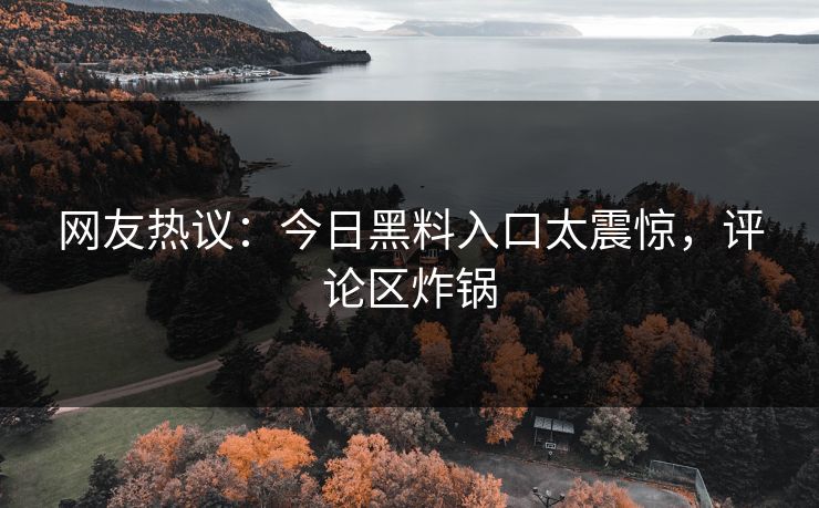 网友热议:今日黑料入口太震惊,评论区炸锅