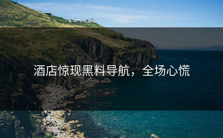 酒店惊现黑料导航，全场心慌