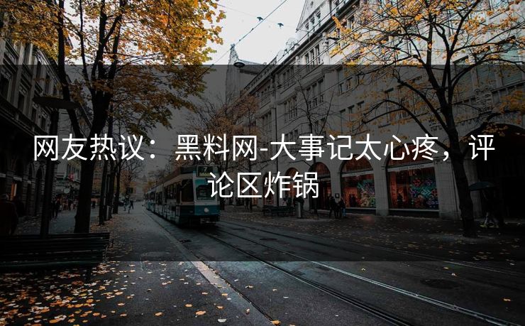 网友热议：黑料网-大事记太心疼，评论区炸锅