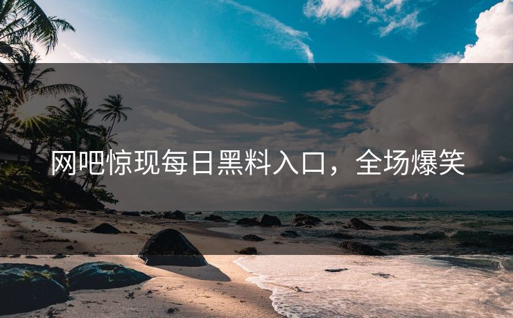 网吧惊现每日黑料入口，全场爆笑