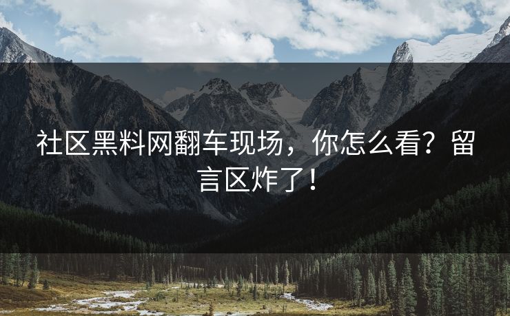 社区黑料网翻车现场，你怎么看？留言区炸了！