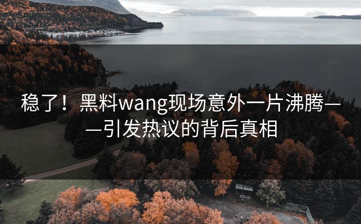 稳了！黑料wang现场意外一片沸腾——引发热议的背后真相
