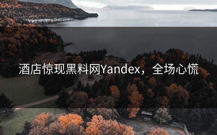 酒店惊现黑料网Yandex，全场心慌