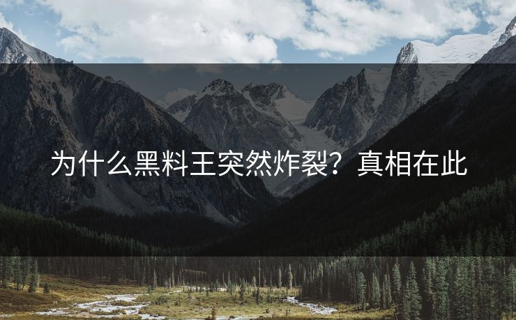 为什么黑料王突然炸裂?真相在此