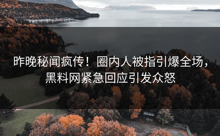 昨晚秘闻疯传！圈内人被指引爆全场，黑料网紧急回应引发众怒