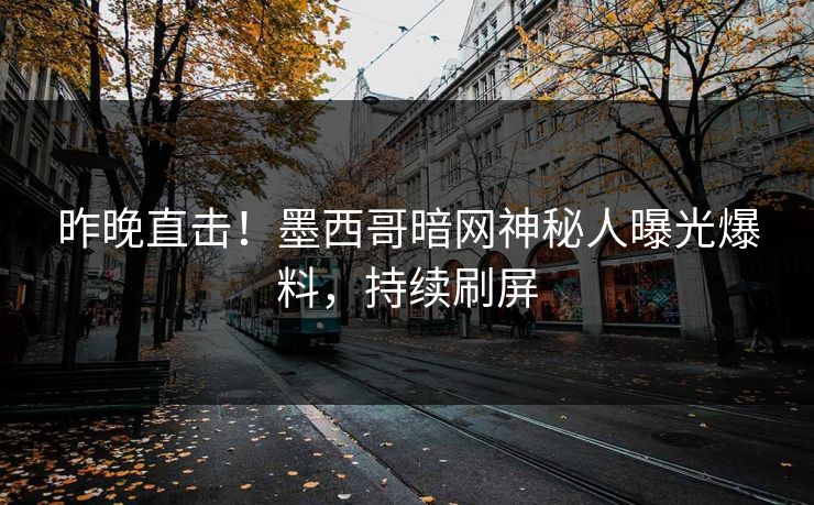 昨晚直击！墨西哥暗网神秘人曝光爆料，持续刷屏