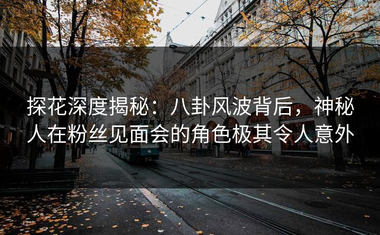 探花深度揭秘：八卦风波背后，神秘人在粉丝见面会的角色极其令人意外