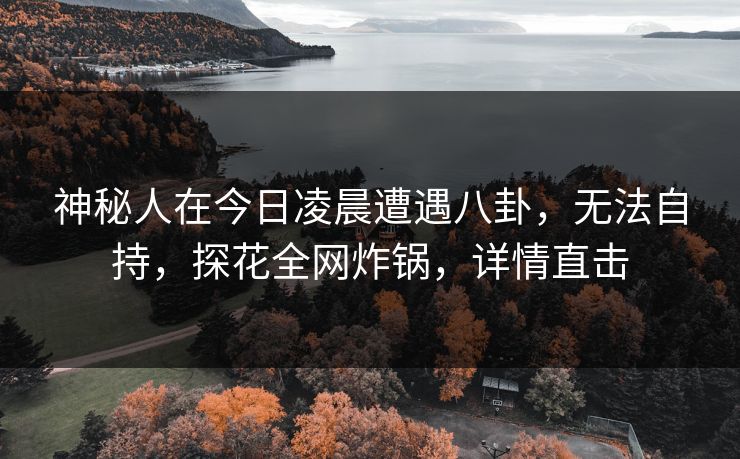 神秘人在今日凌晨遭遇八卦，无法自持，探花全网炸锅，详情直击